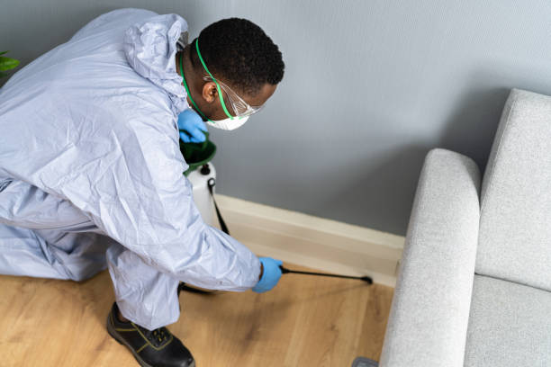 Best Bed Bug Extermination  in Clemmons, NC